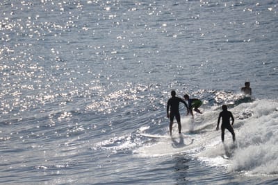 DSC_2944.JPG