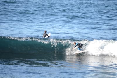 DSC_2945.JPG