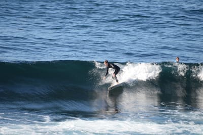 DSC_2946.JPG