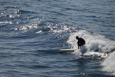 DSC_2948.JPG
