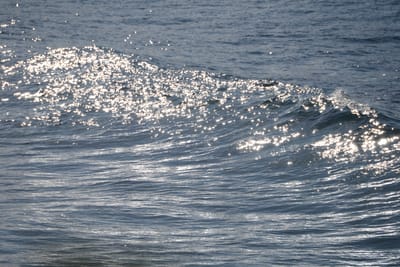 DSC_2950.JPG