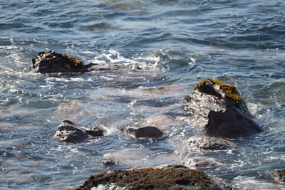 DSC_2951.JPG