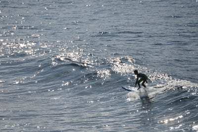 DSC_2953.JPG