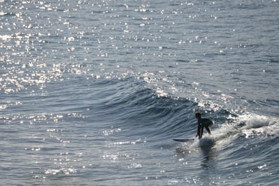 DSC_2954.JPG
