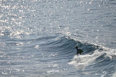 DSC_2955.JPG