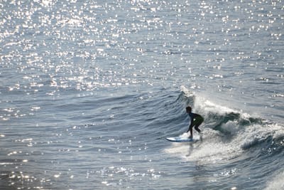 DSC_2956.JPG