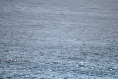 DSC_2958.JPG