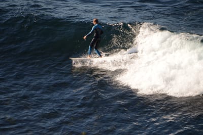 DSC_2959.JPG