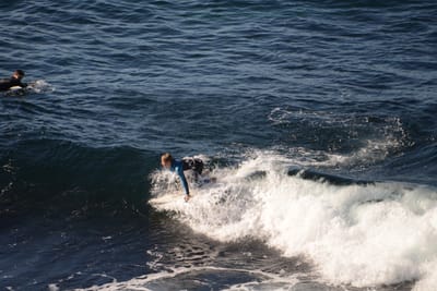 DSC_2964.JPG