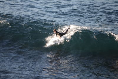 DSC_2966.JPG