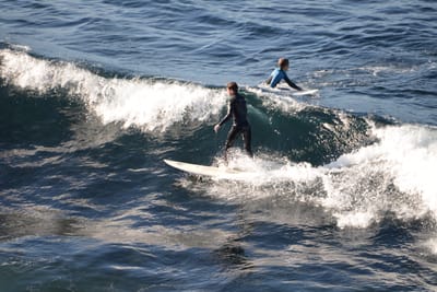 DSC_2969.JPG