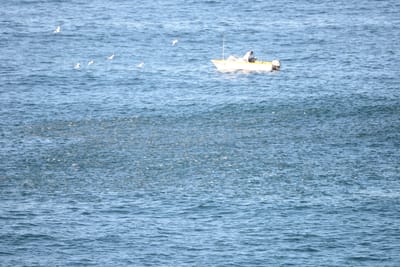 DSC_2970.JPG