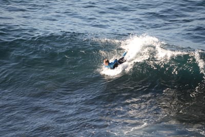 DSC_2973.JPG