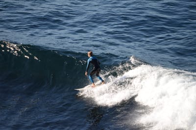 DSC_2976.JPG