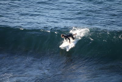 DSC_2978.JPG