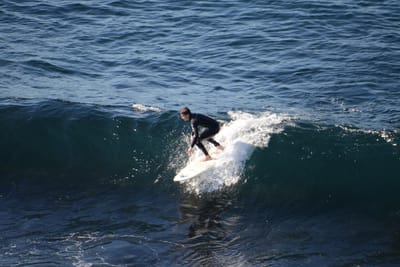DSC_2979.JPG