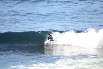 DSC_2981.JPG