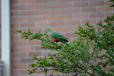 DSC_2982.JPG