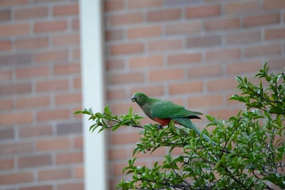 DSC_2983.JPG