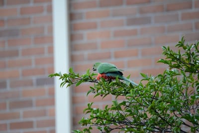 DSC_2984.JPG