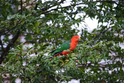 DSC_2985.JPG
