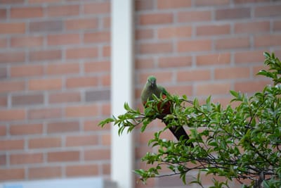 DSC_2986.JPG