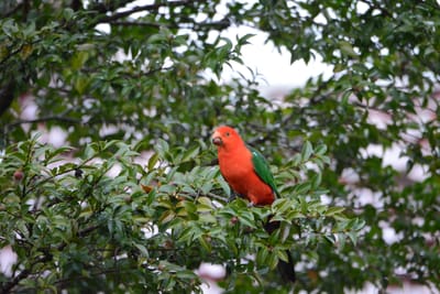 DSC_2987.JPG