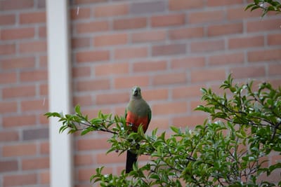 DSC_2988.JPG