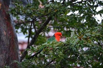 DSC_2990.JPG