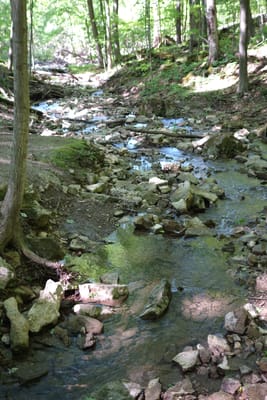 DSC03540.JPG