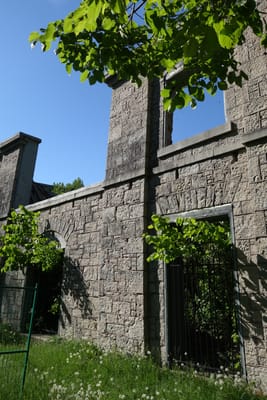 DSC03542.JPG