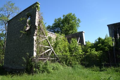 DSC03543.JPG