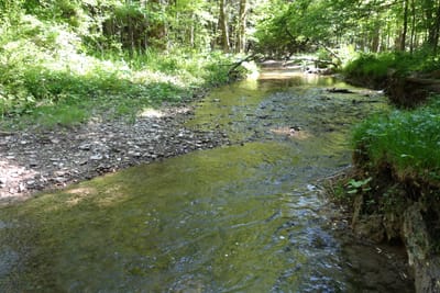 DSC03547.JPG