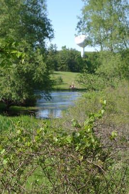 DSC03555.JPG