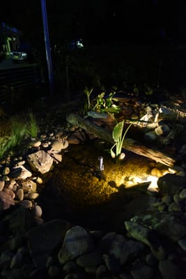 DSC_2007.JPG