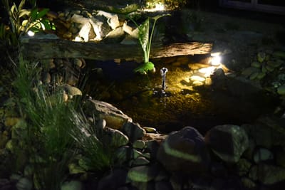 DSC_2012.JPG