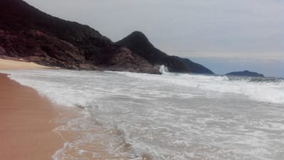 IMG_20131210_115039.jpg