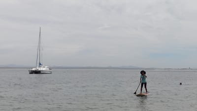 IMG_20131220_161035.JPG