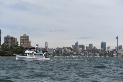 DSC_0542.JPG