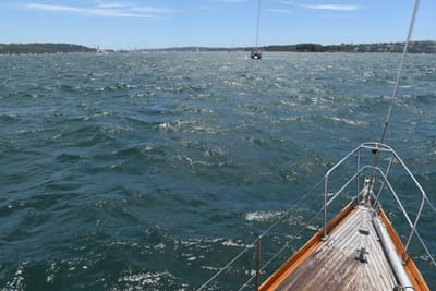 DSC_0543.JPG