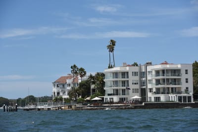 DSC_0550.JPG