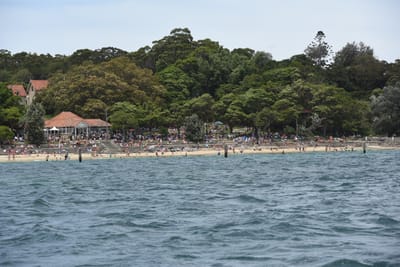 DSC_0565.JPG