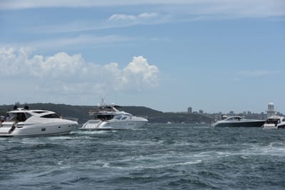 DSC_0568.JPG