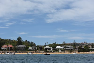 DSC_0580.JPG