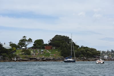 DSC_0588.JPG