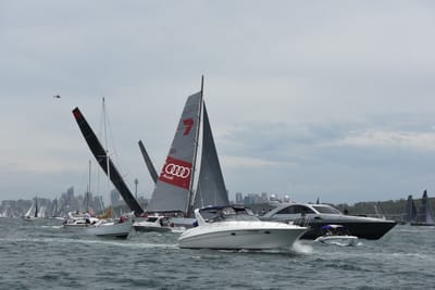 DSC_0593.JPG