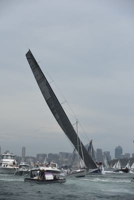 DSC_0596.JPG