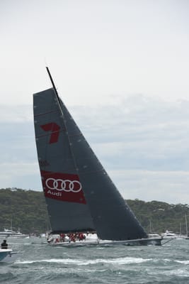 DSC_0598.JPG