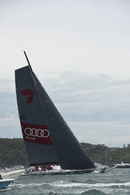 DSC_0599.JPG