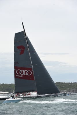 DSC_0601.JPG